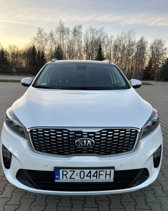 Kia Sorento cena 138000 przebieg: 49900, rok produkcji 2018 z Rzeszów małe 781